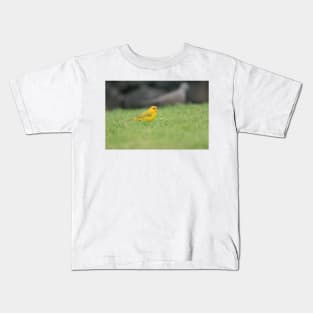 Saffron Finch. Kids T-Shirt